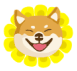 春节期间，狂犬疫苗注射不停歇